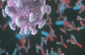 310 пациентов с COVID-19 находятся в опорных стационарах города в тяжелом состоянии » Все новости Одессы |