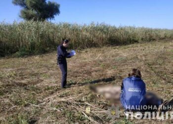 Сегодня на охоте в Измаильском районе мужчина по ошибке застрелил товарища — Город 24