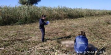 Сегодня на охоте в Измаильском районе мужчина по ошибке застрелил товарища — Город 24