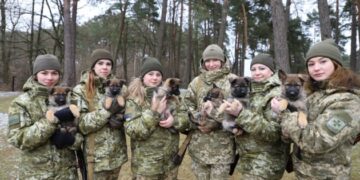 Як дбати про собак під час війни – поради прикордонників