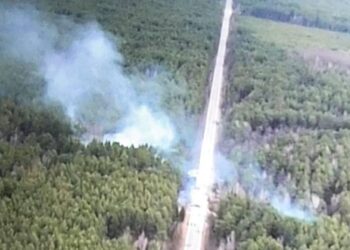 На Чернігівщині наші захисники роздовбали чергову колону орків. ФОТО | Кримінальні новини