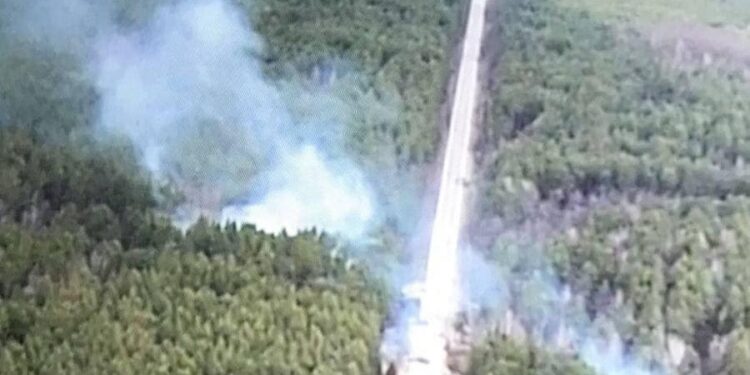 На Чернігівщині наші захисники роздовбали чергову колону орків. ФОТО | Кримінальні новини