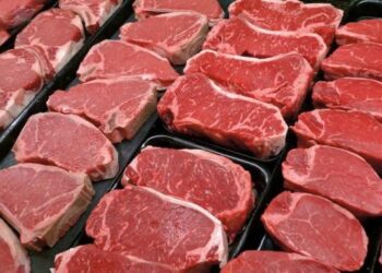 Британские ученые рассказали об опасности потребления красного мяса