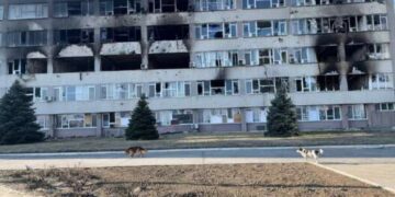 В Cети показали разрушенный центр подготовки персонала на Запорожской АЭС