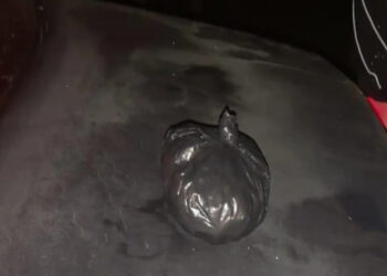 Одесситка на такси перевозила крупную партию метадона