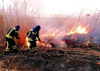 Пожары в Одесской области: тушили сухую траву и камыши