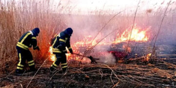 Пожары в Одесской области: тушили сухую траву и камыши