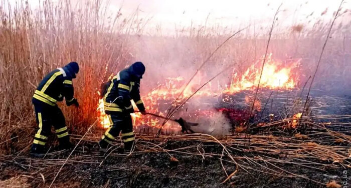 Пожары в Одесской области: тушили сухую траву и камыши