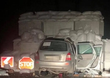 Пожилая семейная пара погибла в ДТП в Одесской области