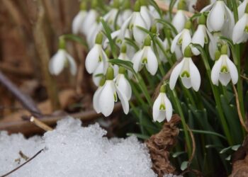 Только спокойствие! Что ждет знаки зодиака в марте |