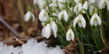 Только спокойствие! Что ждет знаки зодиака в марте |