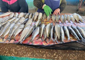 В Измаиле в продаже появилась первая дунайская селёдка —