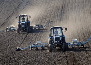 В Кабмине рассказали о проблемах с посевной