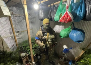 В Одесской области предприимчивый молодой человек оборудовал наркоферму