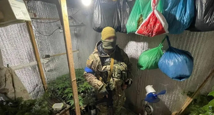 В Одесской области предприимчивый молодой человек оборудовал наркоферму