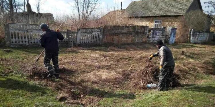 В селі  Новая Іванівка проводяться роботи з благоустрою вулиць