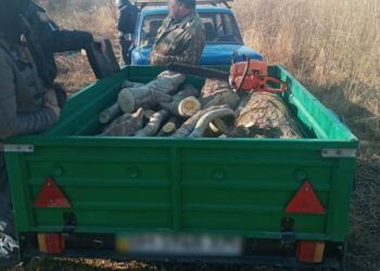 За незаконную вырубку деревьев арестовали имущество подозреваемых в Измаильском районе