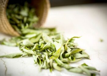 Помогает ли альтернативная медицина в лечении рака, — комментарий врача