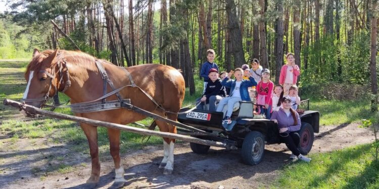 «Гніздо Яструба» на Радехівщині запрошує на захоплюючі квести – Новини Львова та області