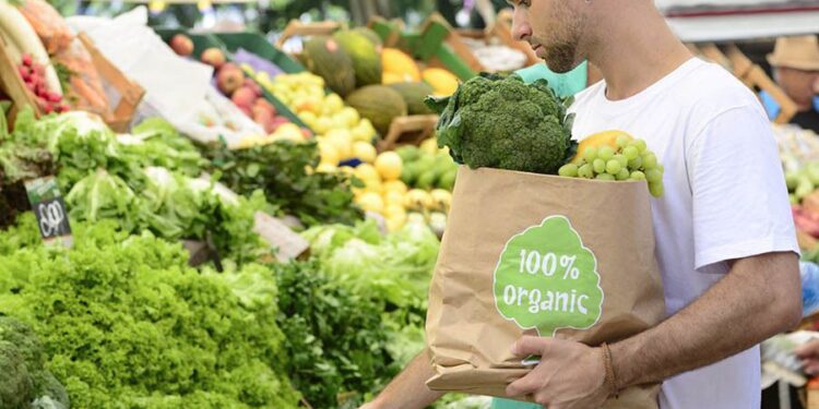 Уряд України затвердив правила виробництва органічних продуктів: яких змін чекати