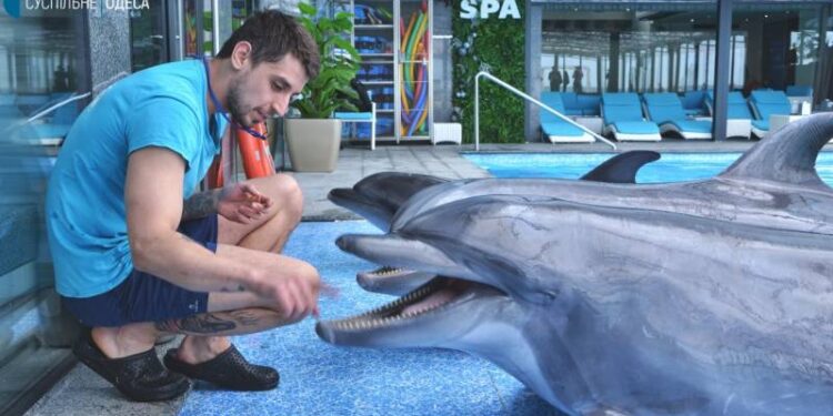 Из Харькова в Одессу был эвакуирован дельфинарий