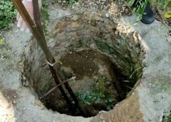 Убийство в Белгород-Днестровском районе