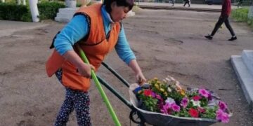 В Арцизі вкрали квіти із міських клумб