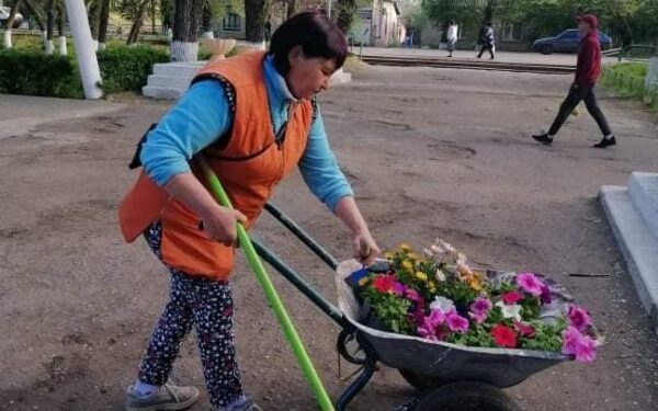 В Арцизі вкрали квіти із міських клумб