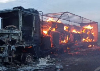 В Измаильском районе на трассе Одесса-Рени горел грузовик