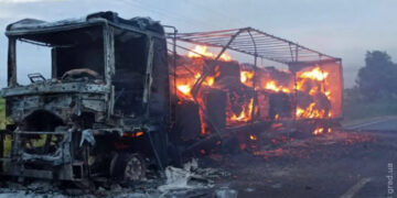 В Измаильском районе на трассе Одесса-Рени горел грузовик