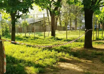 В Одессе пьяный мужчина выстрелил в женщину и сбежал