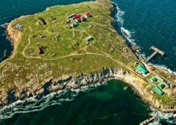 В районе острова Змеиный оккупанты угрожали оружием гражданскому иностранному судну