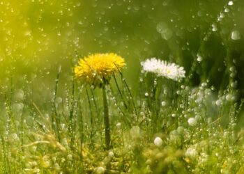 Всю неделю украинцев ждут периодические дожди: прогноз погоды на 7 дней (карта)