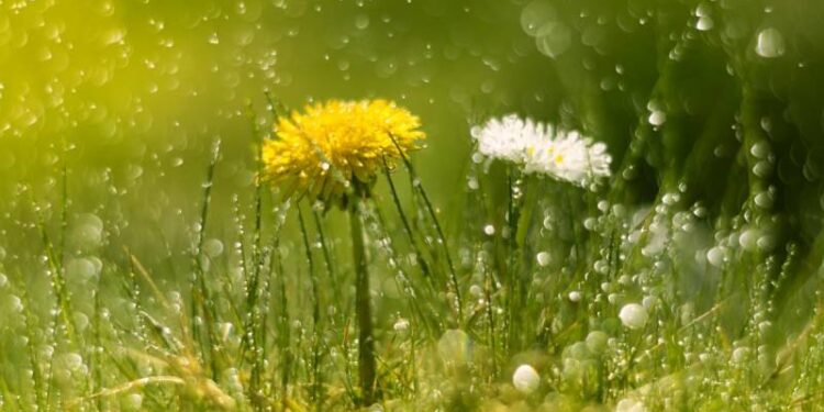 Всю неделю украинцев ждут периодические дожди: прогноз погоды на 7 дней (карта)