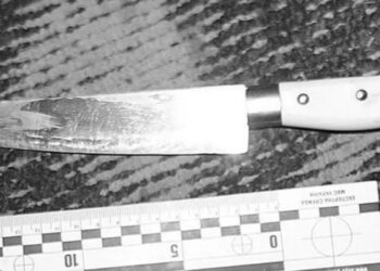 Женщина зарезала мать во время застолья