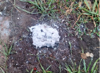 Прокуратура Сумщини розпочала провадження за фактом поранення дитини внаслідок ворожого обстрілу | Кримінальні новини