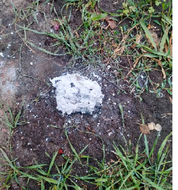 Прокуратура Сумщини розпочала провадження за фактом поранення дитини внаслідок ворожого обстрілу  | Кримінальні новини