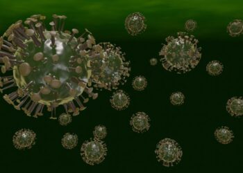 Подвид Omicron BA.2, вероятно, будет иметь такую же степень тяжести, как и первоначальный штамм — ВОЗ