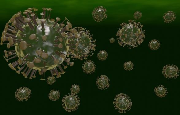 Подвид Omicron BA.2, вероятно, будет иметь такую же степень тяжести, как и первоначальный штамм — ВОЗ