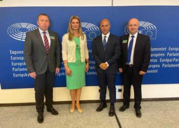 Червоноград представлятимуть у Європарламенті – Новини Львова та області