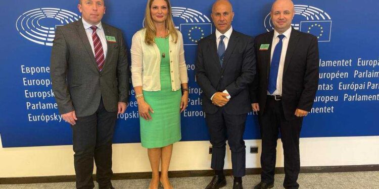 Червоноград представлятимуть у Європарламенті – Новини Львова та області