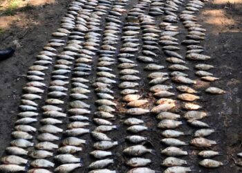 На Хмельниччині зухвалий браконьєр потрапив у «сітки», розставлені поліцейськими  | Кримінальні новини