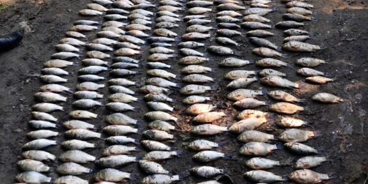 На Хмельниччині зухвалий браконьєр потрапив у «сітки», розставлені поліцейськими  | Кримінальні новини