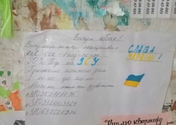 У Червонограді школярки вигулюють собак, щоб назбирати кошти для потреб ЗСУ – Новини Львова та області
