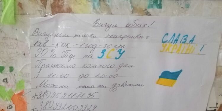У Червонограді школярки вигулюють собак, щоб назбирати кошти для потреб ЗСУ – Новини Львова та області