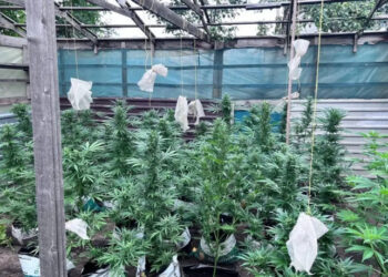 Четырех одесситов задержали за изготовление и хранение наркотиков