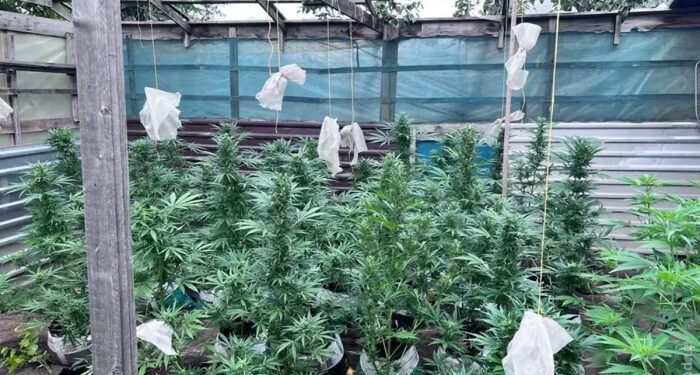 Четырех одесситов задержали за изготовление и хранение наркотиков