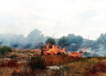 Два гектара сухой травы сгорело в Одесской области