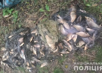 Двух браконьеров поймали в Одесской области