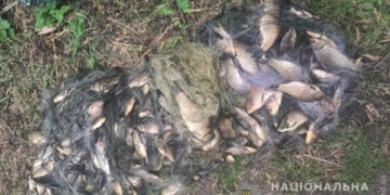 Двух браконьеров поймали в Одесской области